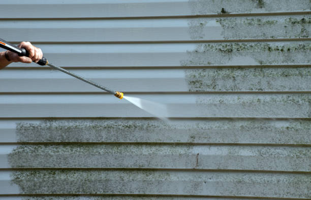 Best Home Mold Removal  in Wellsville, KS